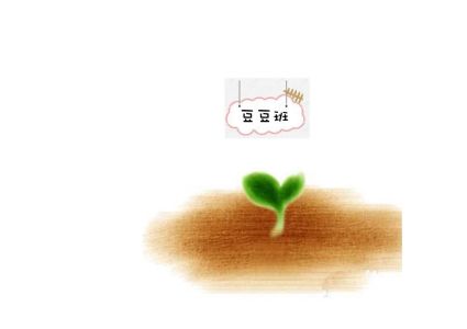 豆豆班10.11月生活花絮.