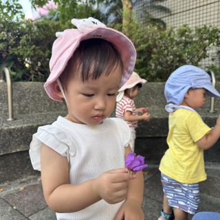 S__49176612_0