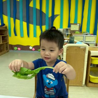 LINE_ALBUM_認識蔬菜_250807_56