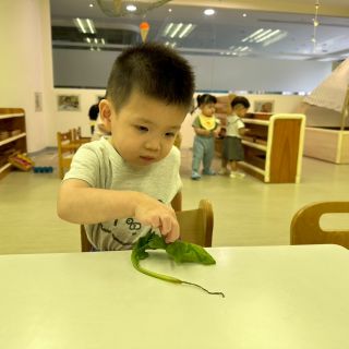 LINE_ALBUM_認識蔬菜_250807_50