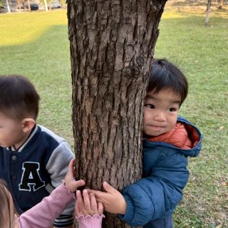 24DE9D55-FE0D-45D0-857F-9C3998AB6239