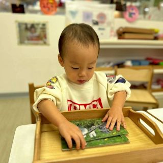 LINE_ALBUM_1_260121_2