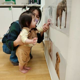 LINE_ALBUM_2025年12月17日_260111_4