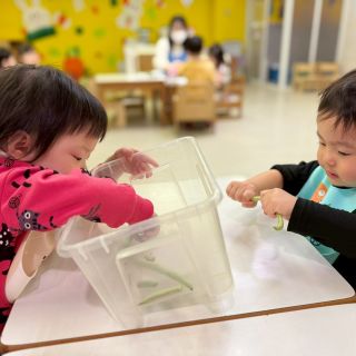 LINE_ALBUM_四季豆_260318_12