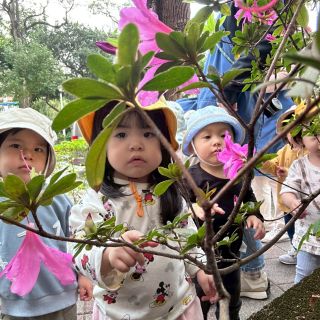 LINE_ALBUM_3月照片_260323_17