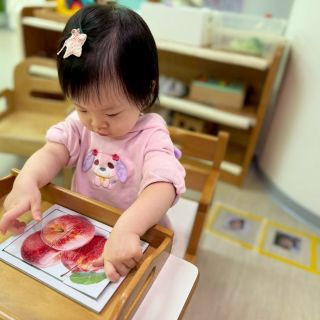 LINE_ALBUM_拼圖+羊毛捲_260301_48