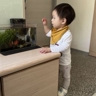 5114060F-7DBC-41D8-84F0-D68268A31C86