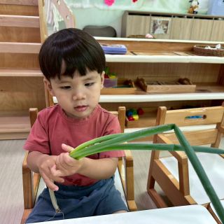 LINE_ALBUM_0416+蔬菜+找球_260421_79