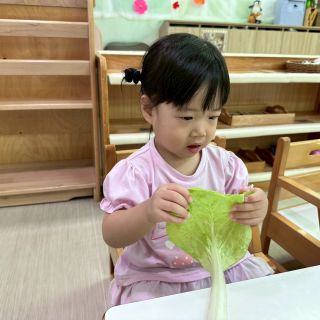 LINE_ALBUM_0416+蔬菜+找球_260423_15