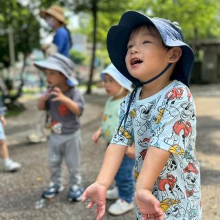 LINE_ALBUM_57散步_260507_28