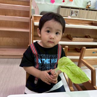 LINE_ALBUM_0416+蔬菜+找球_260423_26
