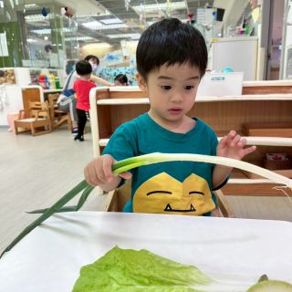 LINE_ALBUM_0416+蔬菜+找球_260420_25