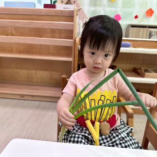 LINE_ALBUM_0416+蔬菜+找球_260423_4
