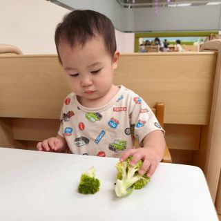 LINE_ALBUM_820日認知探索_260825_15