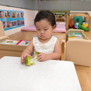 LINE_ALBUM_820日認知探索_260825_24
